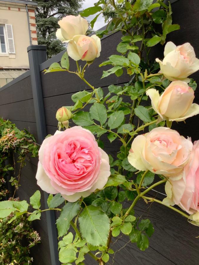 La Renardiere Bourges Bagian luar foto